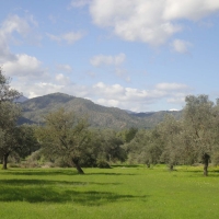 eleokaliergia5
